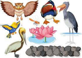 Different kinds of wild animals collection vector