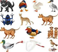 colección de diferentes tipos de animales vector