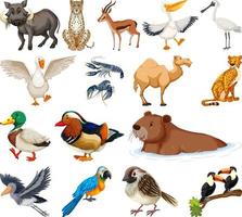 colección de diferentes tipos de animales vector