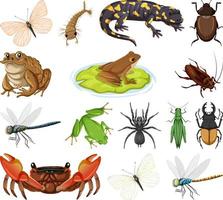 diferentes tipos de bichos y animales vector