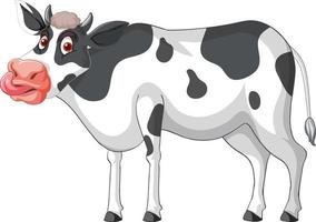 Dairy cow sticking tongue out cartoon character vector