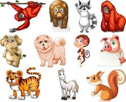 Set of animal cartoon character vector