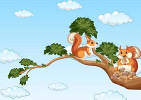 Two squirrels on the branch vector