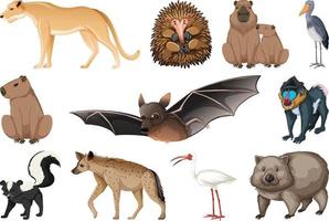 Set of different kinds of animals vector
