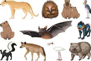 conjunto de diferentes tipos de animales vector