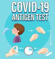 Covid 19 testing diagram with antigen test kit vector