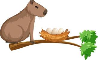 Capybara on branch with egg nest vector