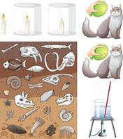 Set of equipment needed for science experiment vector