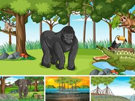 Different forest scenes with wild animals vector