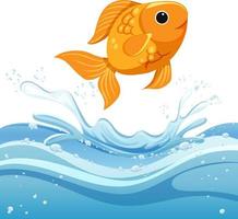 A water splash with goldfish on white background vector