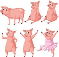 Set of pigs in different poses vector