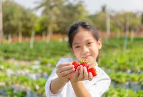 Selective focus of Happy girl child holding fresh red organic strawberries in the garden photo