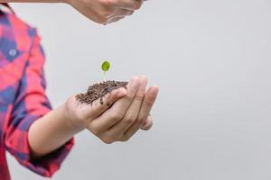 nutrir y regar a mano la planta joven del bebé en el suelo en las manos. concepto de ecología foto