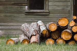 Pile of firewood next to a shed. photo