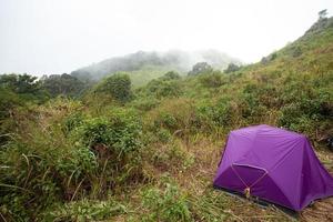 la carpa morada en la montaña detrás es un bosque verde. foto