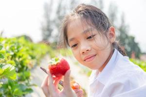 enfoque selectivo de niña feliz sosteniendo y mirando fresas orgánicas rojas frescas en el jardín foto