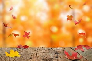 Autumn maple leaves are on a wooden table,  with a forest of fallen leaves and a blank display. photo