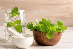Alternative medicine herbal organic herbs mint leaf natural supplements for healthy good life.