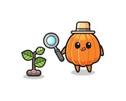 cute pumpkin herbalist researching a plants vector