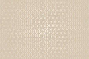 Islamic new pattern background design vector
