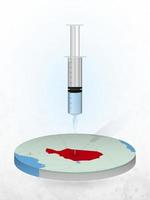 Vaccination of Niger, injection of a syringe into a map of Niger. vector