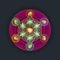 Metatron's Cube,  Flower of Life. Gold Sacred geometry. Mystic colorful icon platonic solids Merkabah, abstract geometric drawing, crop circles sign. Graphic logo element Vector isolated on black