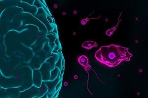 infección por ameba devoradora de cerebros, naegleriasis. formas flageladas, trofozitas y quistes del parásito naegleria fowleri, ilustración 3d foto