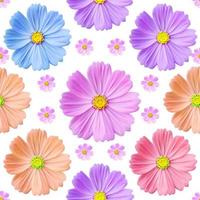 Cosmos flowers seamless pattern. full colored cosmos. photo