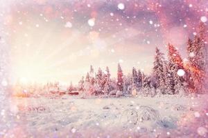 Fabulous winter landscape in the mountains,  background with som photo