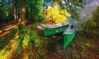 Boats are in the woods near the water photo