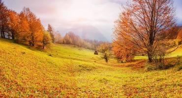 rock massif in the Carpathians. Carpathian, Ukraine, Europe photo