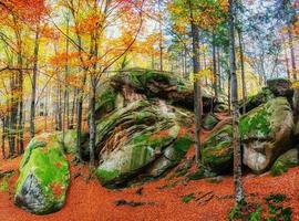 Walking in rocky terrain in the forest. Carpathian, Ukraine photo