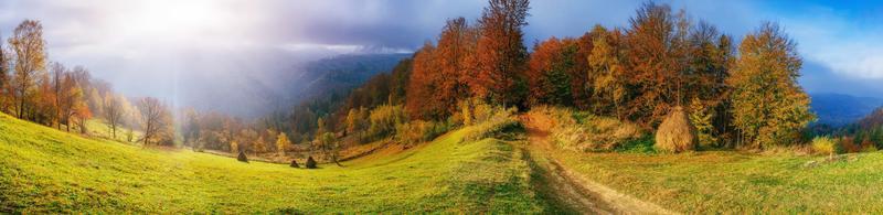 autumn alley.   that leads to the mountains photo