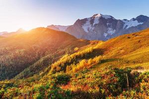 Autumn landscape and snow-capped mountain peaks. View of the mou photo