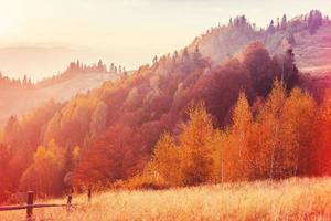 rock massif in the Carpathians. Retro style filter. Instagram to photo