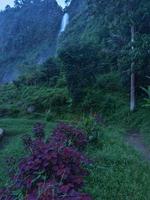 the path to the waterfall photo