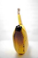 Yellow cavendish ripe banana isolated photo