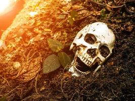 cráneo humano enterrado en el suelo. el cráneo tiene suciedad adherida al cráneo. concepto de muerte y halloween foto