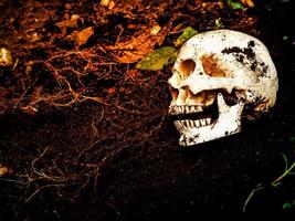 al lado del cráneo humano enterrado en el suelo. el cráneo tiene suciedad adherida al cráneo. concepto de muerte y halloween foto