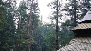 Imágenes de hadimba devi temple manali foto