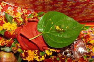 Betel leaf - paan for indian pooja image photo