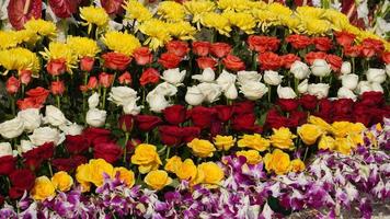 imagen de flores coloreadas multiples hd foto