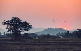 Sunset over mountain with birds flying in rural photo
