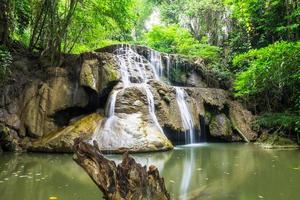 Waterfall cliff with log in rainforest photo