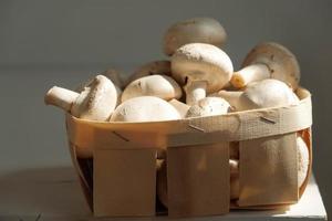 Champignon mushrooms in a wicker basket on a white background photo