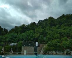 paisaje de montaña con bosque de abetos. bosque de verano. foto