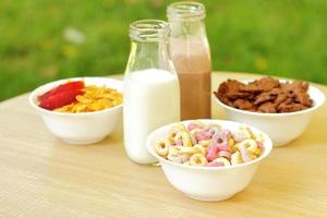 Bowls with different sorts of breakfast cereal products, white bowls with morning meal photo