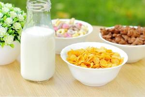 Bowls with different sorts of breakfast cereal products, white bowls with morning meal photo