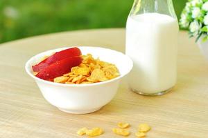 Bowls with different sorts of breakfast cereal products, white bowls with morning meal photo