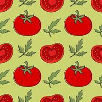 patrón vectorial de un conjunto de tomates. elementos de diseño para menús, anuncios y portadas, libros para niños, ilustraciones de alimentos y alimentos. vector de verduras y follaje. ilustración de comida.